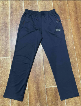 No Brand 100680 blue (деми) штаны спорт мужские
