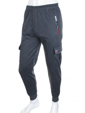 No Brand 108 grey (деми) штаны спорт мужские