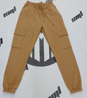 No Brand 20705 beige (деми) штаны спорт женские