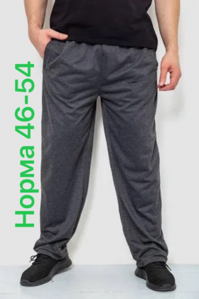 No Brand 2845 grey (деми) штаны спорт мужские