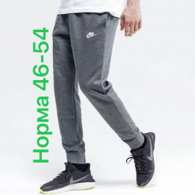 No Brand 2846 grey (деми) штаны спорт мужские
