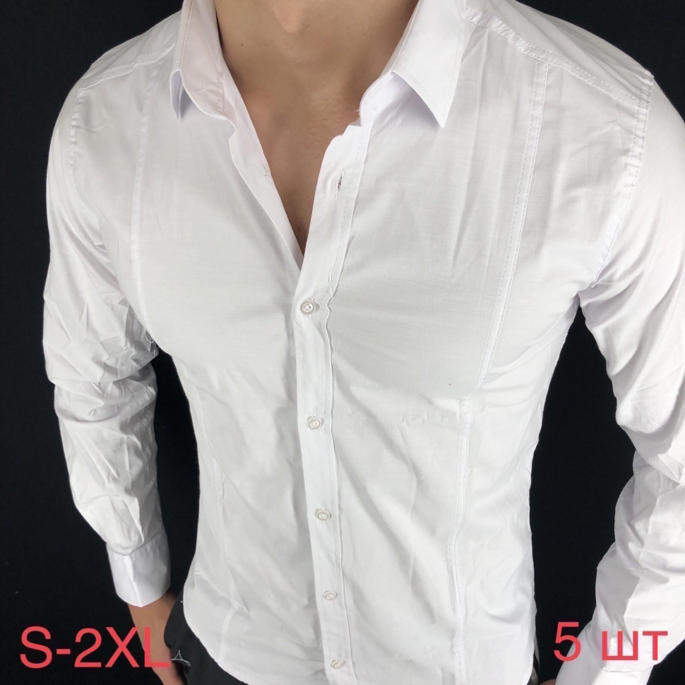 No Brand R382 white (деми) рубашка мужские