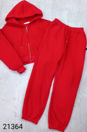 No Brand 21364 red-old-1 (зима) костюм спорт женские