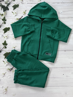 No Brand 1010 green (деми) костюм спорт детские