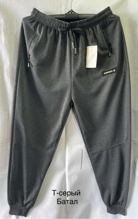 No Brand 2419 grey (деми) штаны спорт мужские