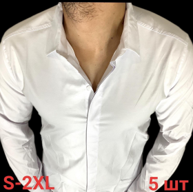 No Brand R384 white (деми) рубашка мужские