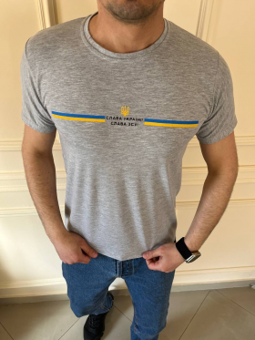 No Brand 1598 grey (лето) футболка мужские