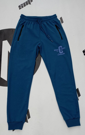 No Brand 20710 blue (деми) штаны спорт женские