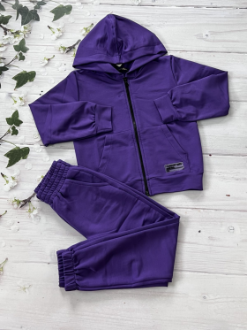 No Brand 1010 purple (деми) костюм спорт детские
