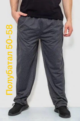 No Brand 2851 grey (деми) штаны спорт мужские