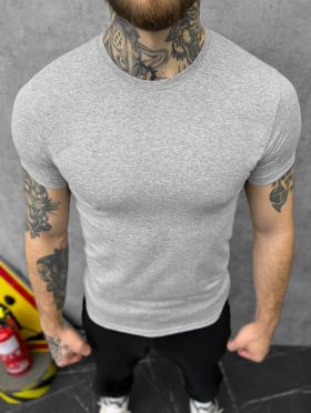 No Brand 206 grey (лето) футболка мужские